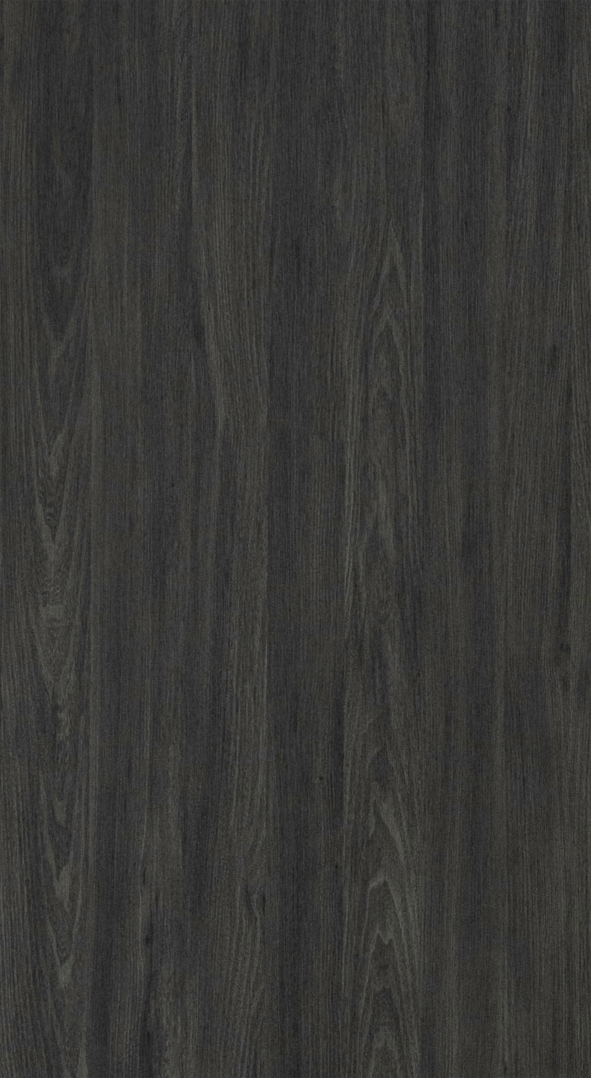 Noir Elm