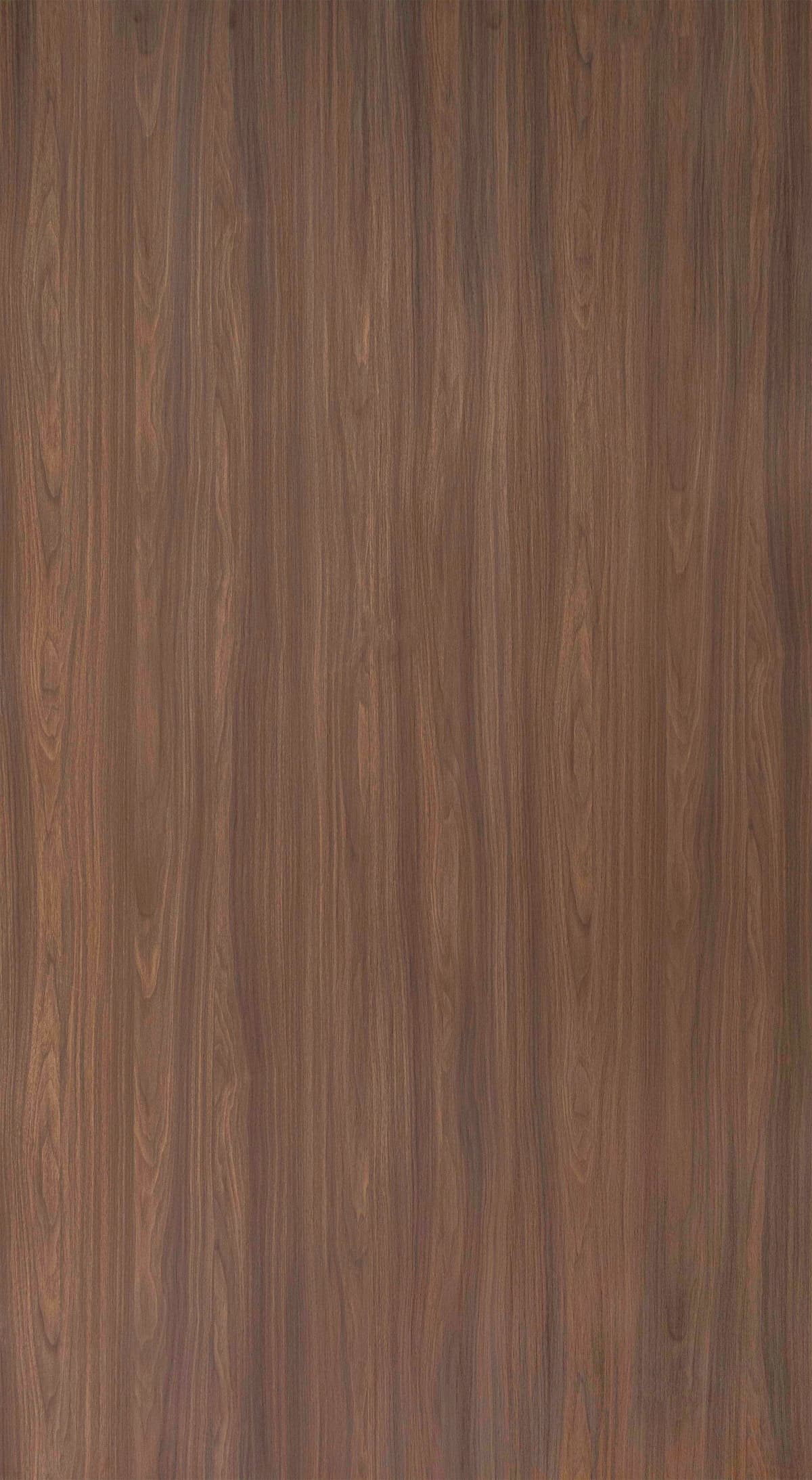 Enic Walnut