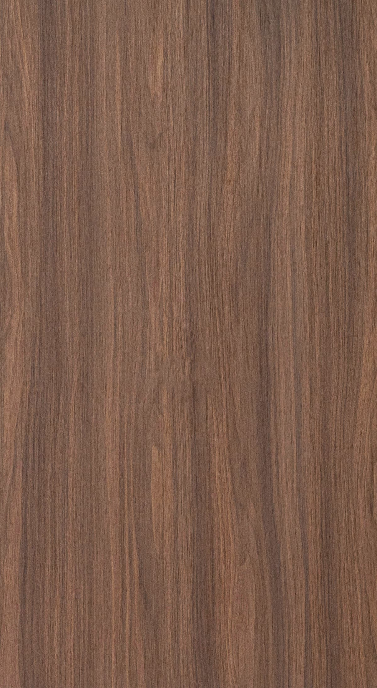 Enic Walnut