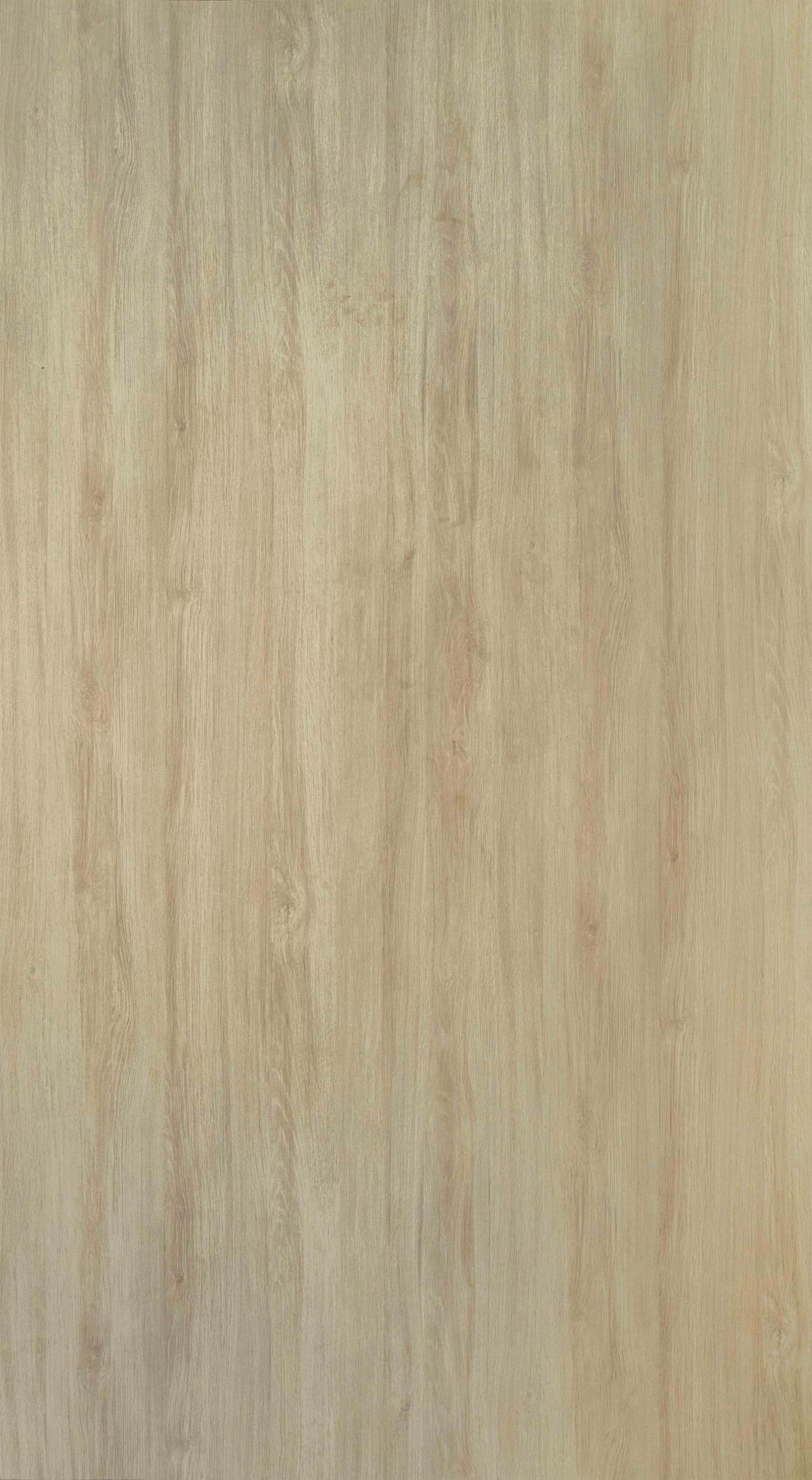 Cortesy Oak