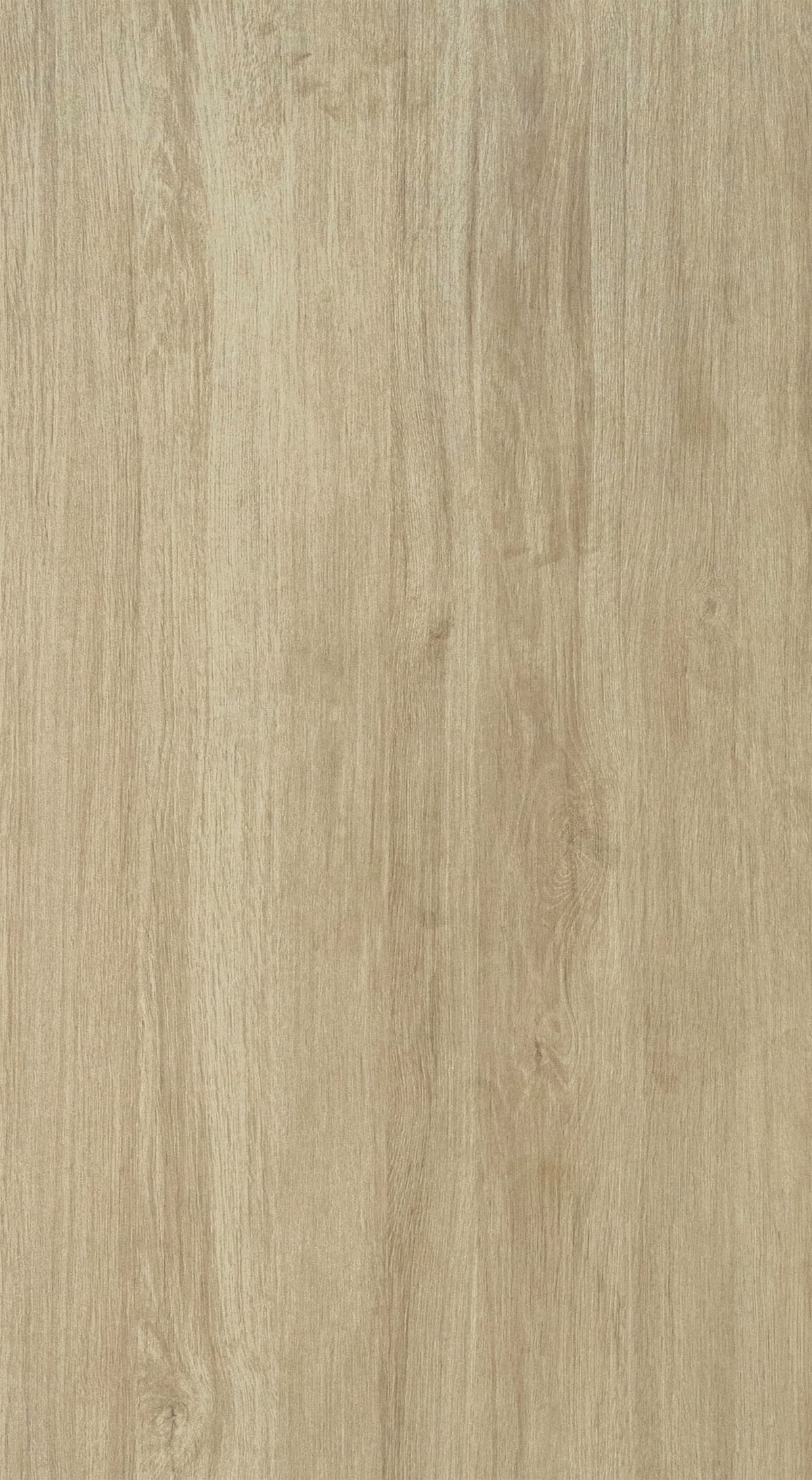 Cortesy Oak