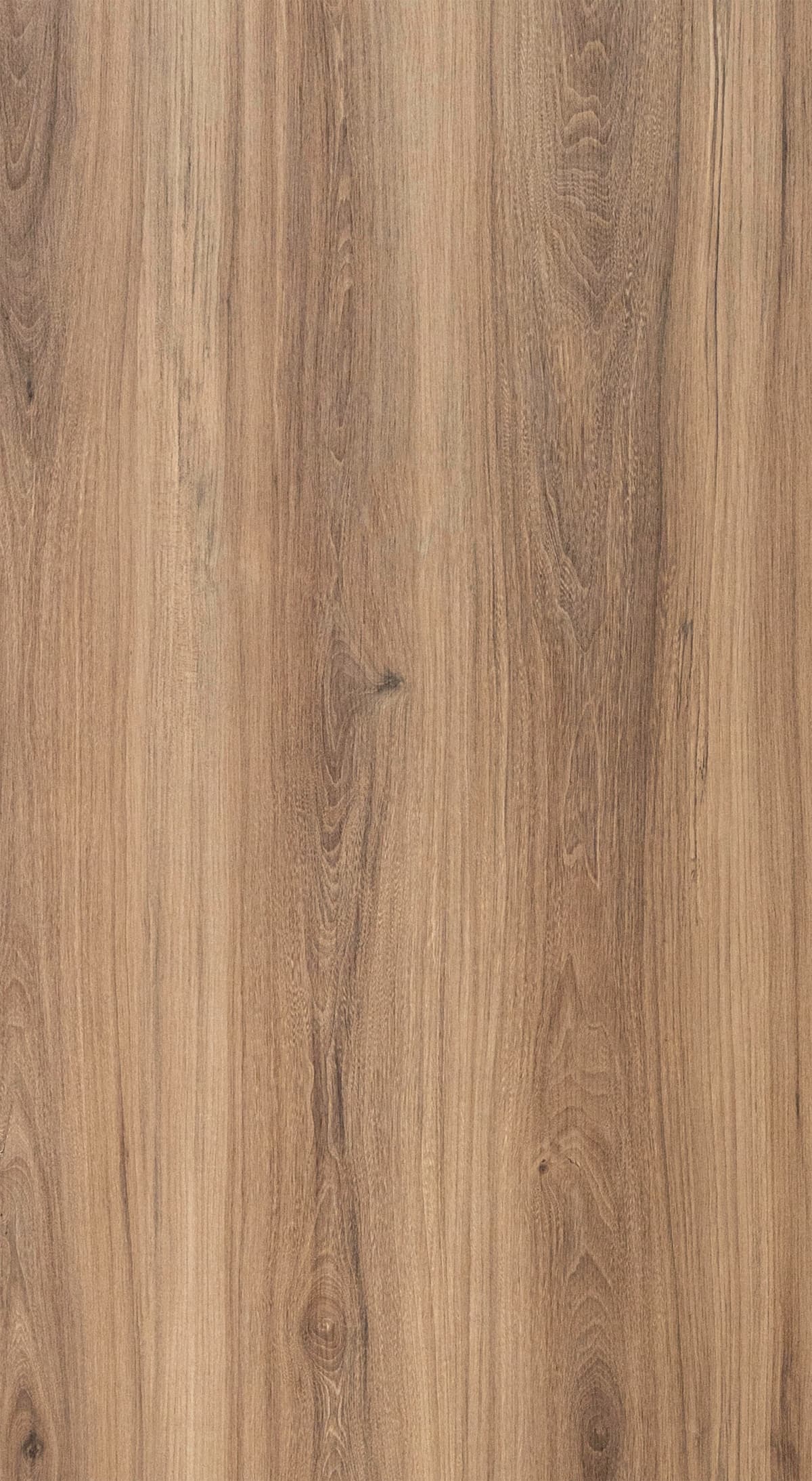 Charrow Elm