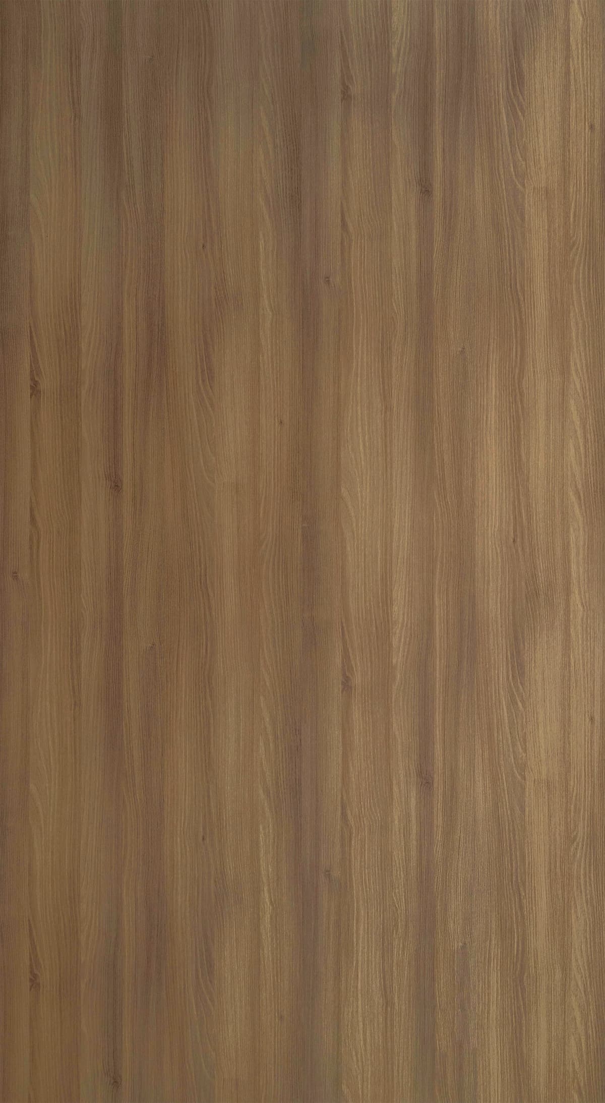 Brew Oak