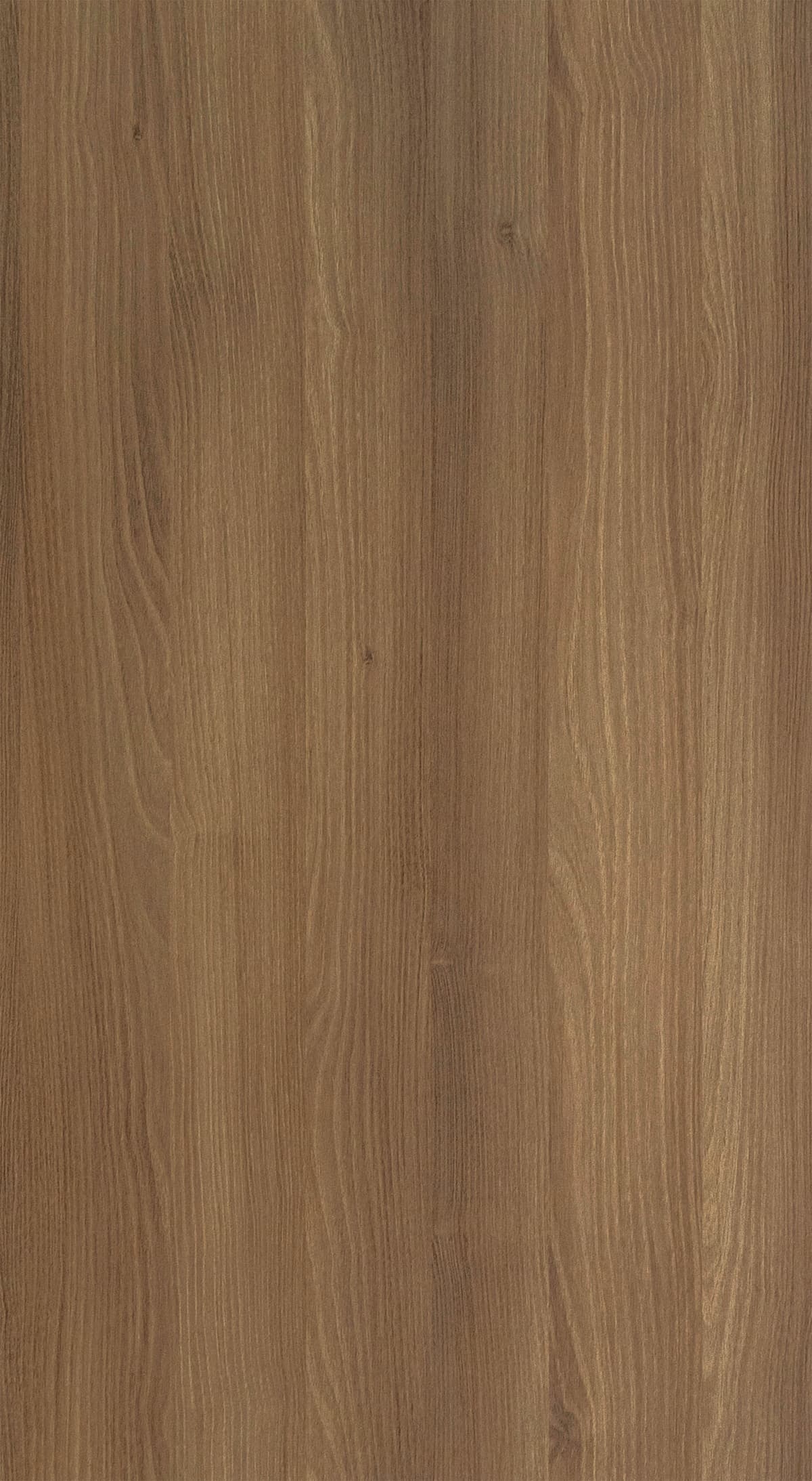 Brew Oak